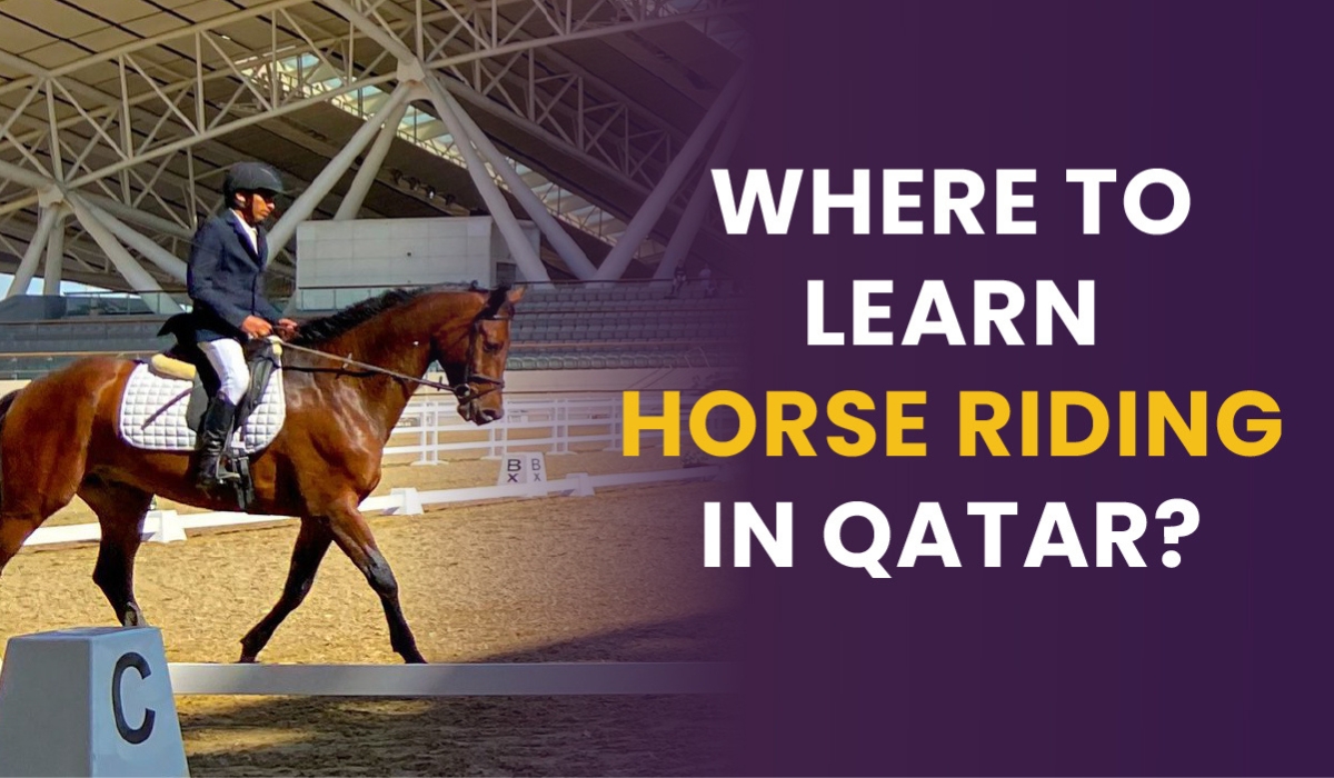 Where to Learn Horse Riding in Qatar?
